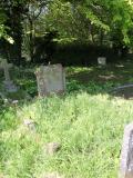 image number IMG_3308